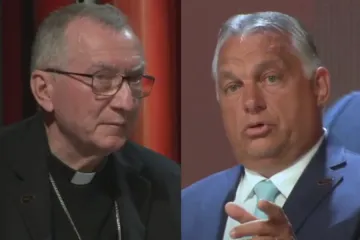Cardinal Pietro Parolin and Viktor Orbán take part in a discussion at the Bled Strategic Forum